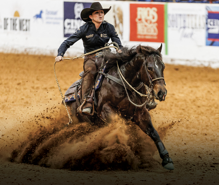 Learn about the Performance Saddle