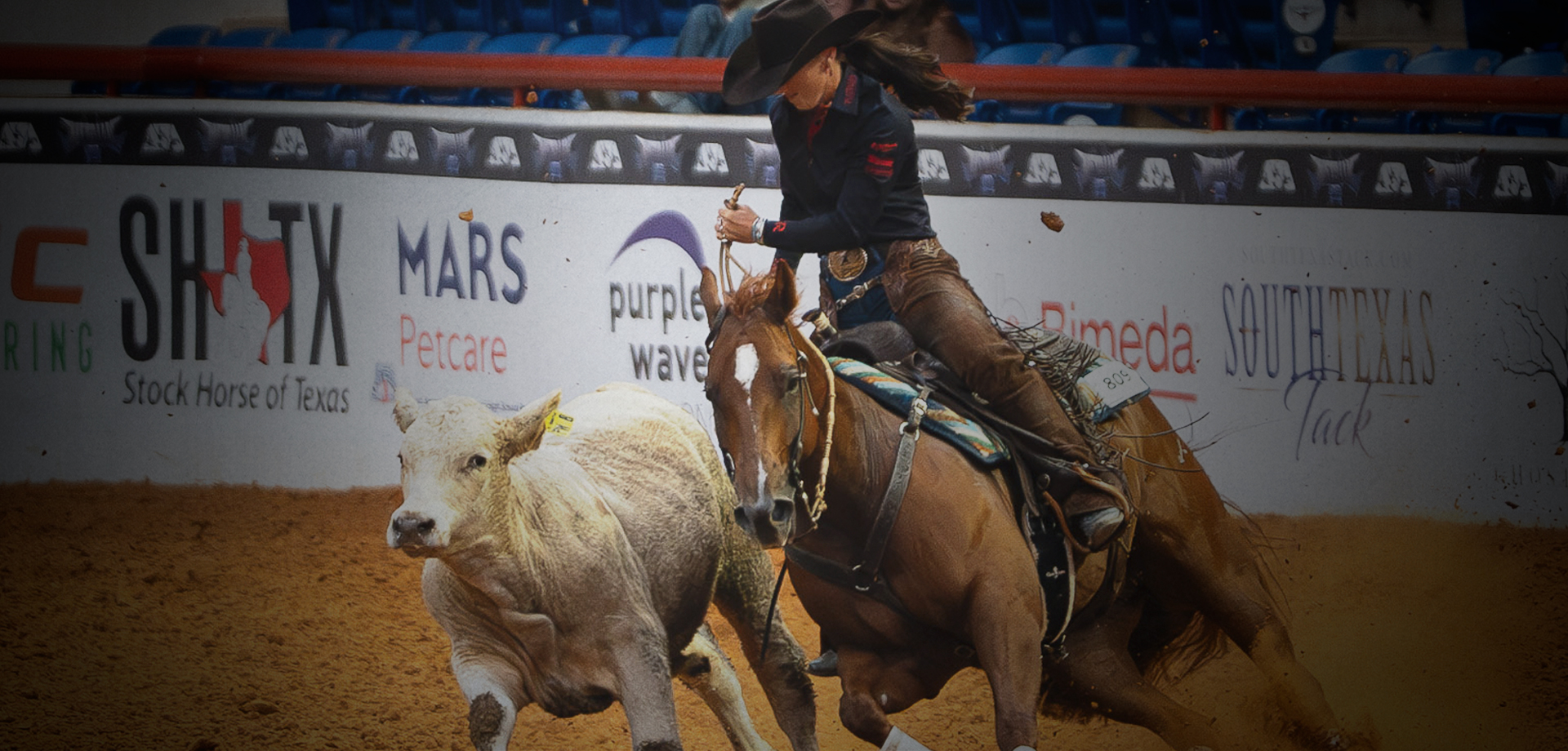 Martin Saddlery - Show Arena